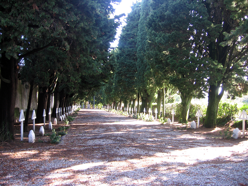 viale, commemorativo/ ai caduti della prima guerra mondiale, Viale della Rimembranza di Ispra (XX, XX)