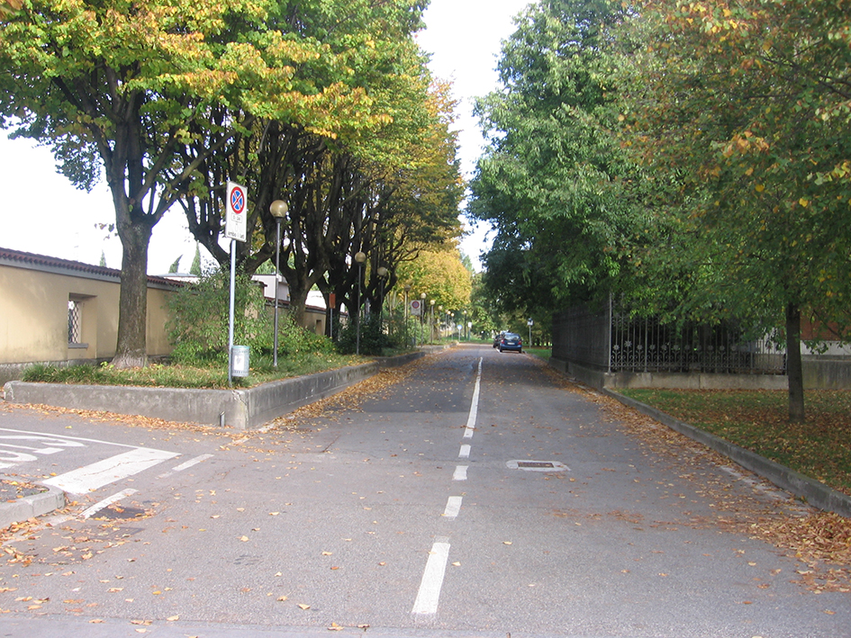 viale, commemorativo/ ai caduti della prima e seconda guerra mondiale, Viale della Rimembranza di Burago di Molgora (XX)