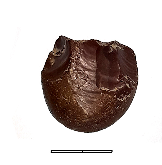 nucleo, sbozzo di nucleo - Epigravettiano finale (fine Paleolitico superiore)