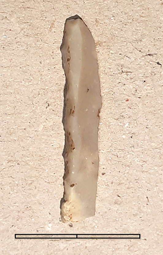 lama, a dorso - Epigravettiano finale (fine Paleolitico superiore)