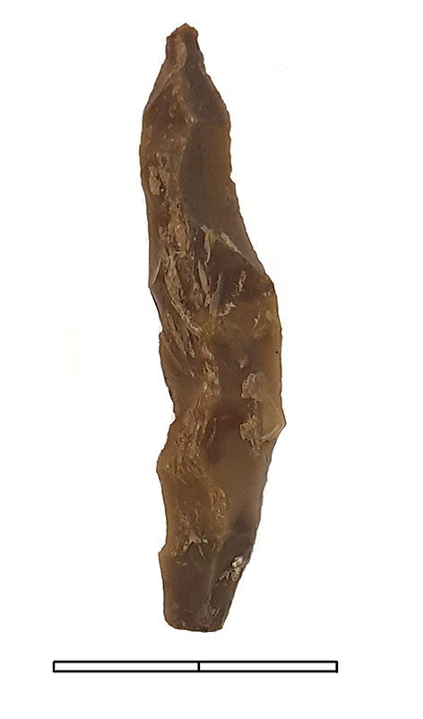 lama, a cresta - Epigravettiano finale (fine Paleolitico superiore)