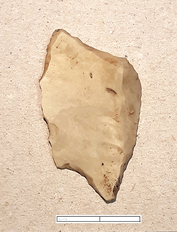 troncatura, obliqua - Epigravettiano finale (fine Paleolitico superiore)