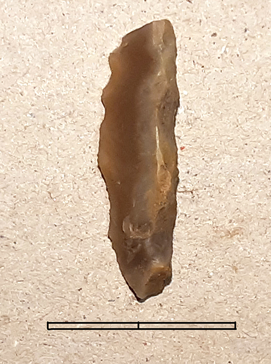 lama, a dorso - Epigravettiano finale (fine Paleolitico superiore)