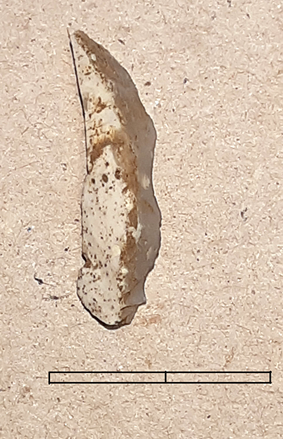 lama, a cresta - Epigravettiano finale (fine Paleolitico superiore)