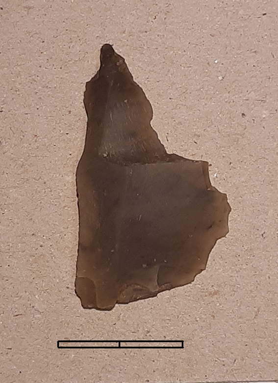 becco, dritto - Epigravettiano finale (fine Paleolitico superiore)