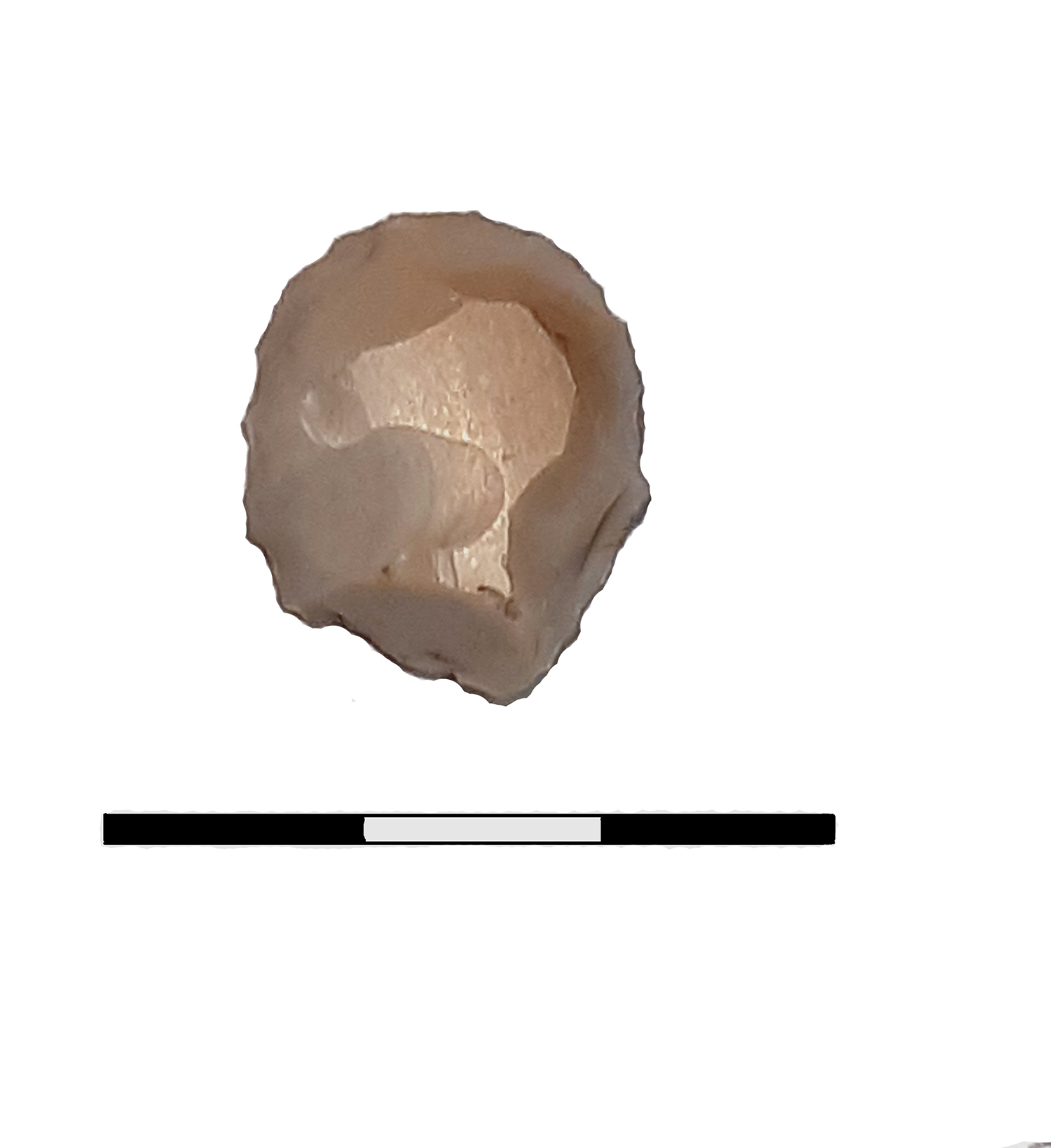 grattatoio, circolare - Epigravettiano finale (fine Paleolitico superiore)