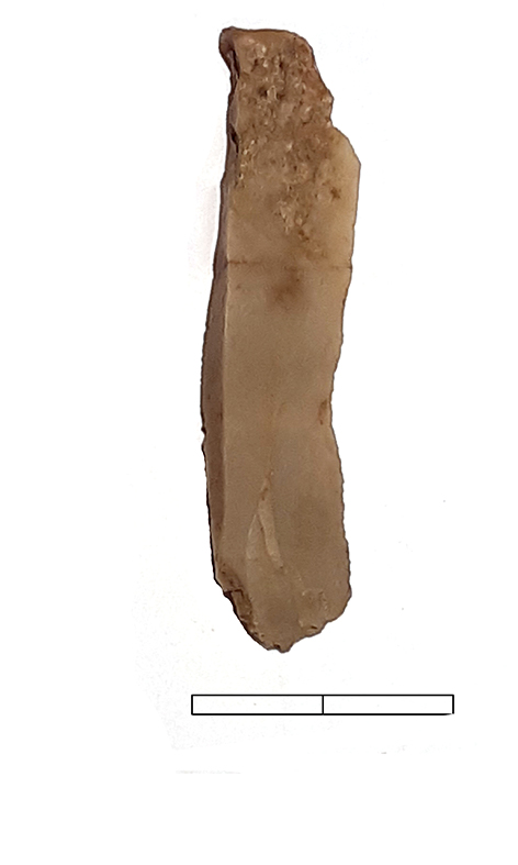 lama - Epigravettiano finale (fine Paleolitico superiore)