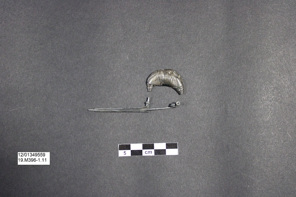 fibula/ a sanguisuga - Ambito laziale (PERIODIZZAZIONI/ Protostoria/ Eta' del Ferro)