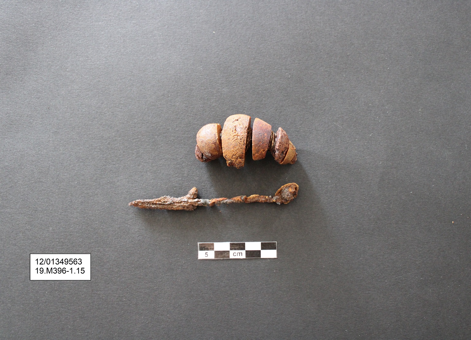 fibula/ ad arco rivestito - Ambito laziale (PERIODIZZAZIONI/ Protostoria/ Eta' del Ferro)