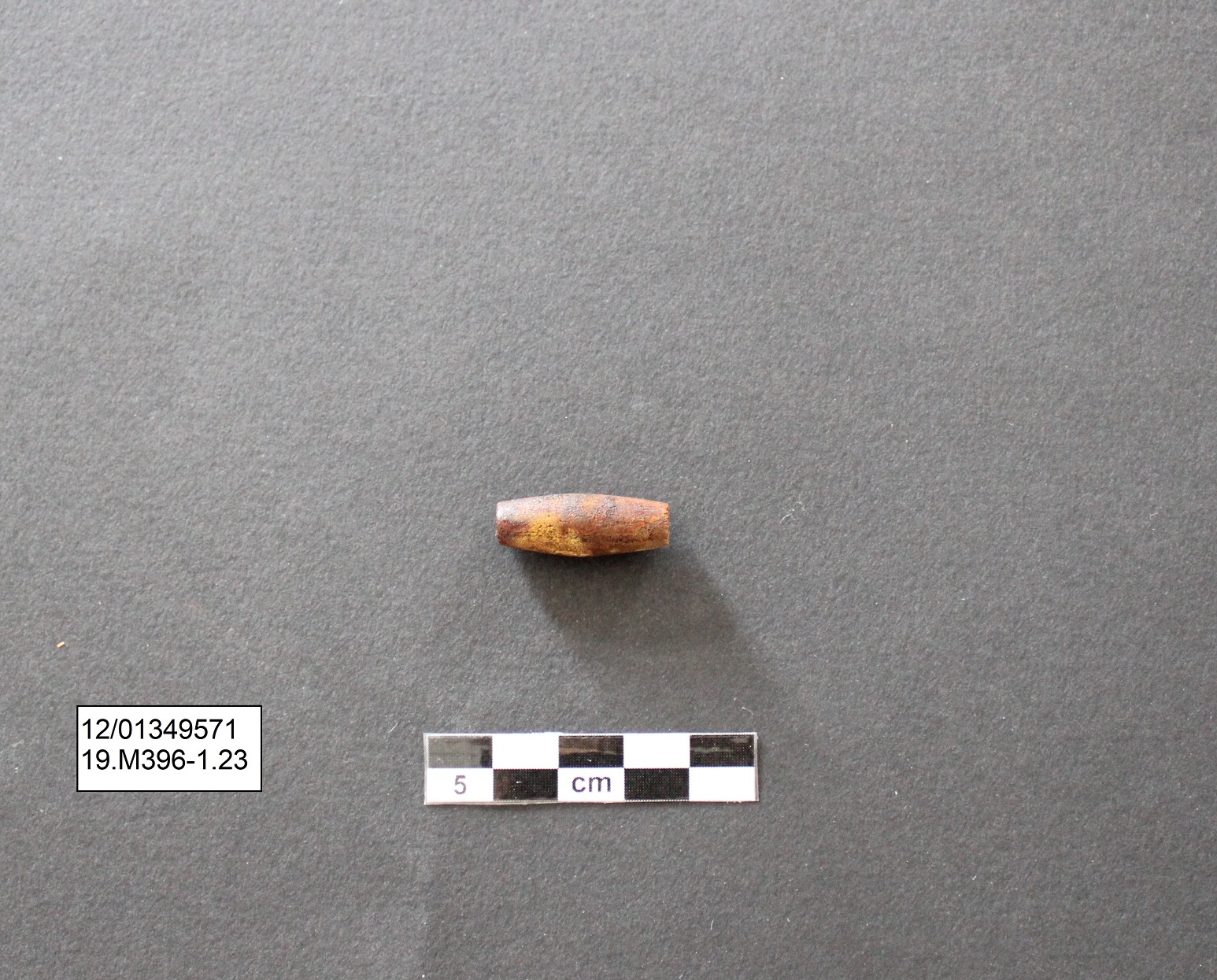 vago/ fusiforme - Ambito laziale (PERIODIZZAZIONI/ Protostoria/ Eta' del Ferro)