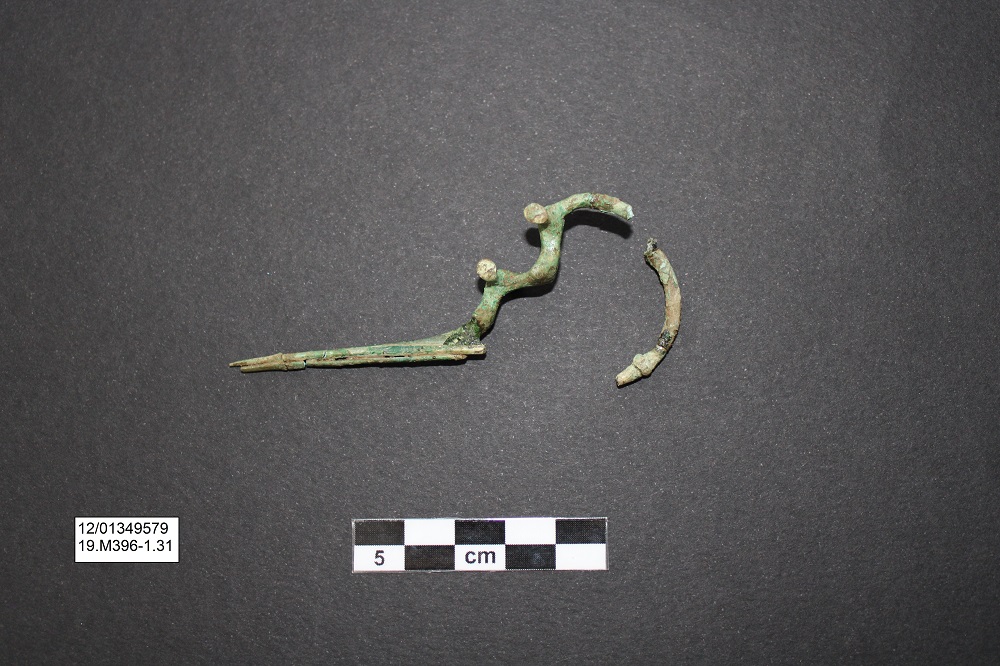 fibula/ a drago - Ambito laziale (PERIODIZZAZIONI/ Protostoria/ Eta' del Ferro)