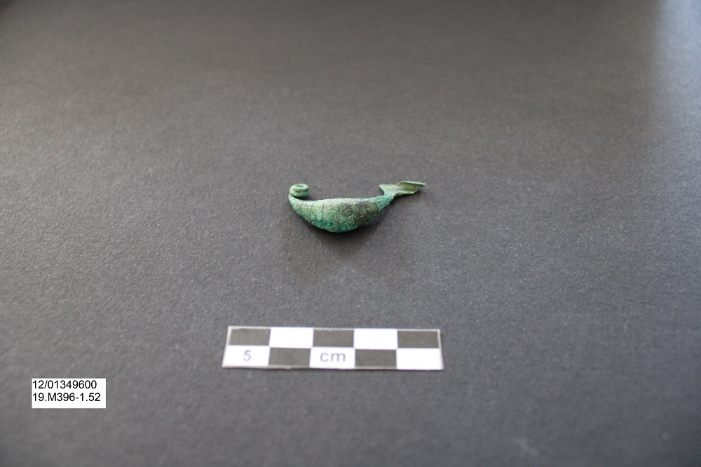 fibula/ a sanguisuga - Ambito laziale (PERIODIZZAZIONI/ Protostoria/ Eta' del Ferro)