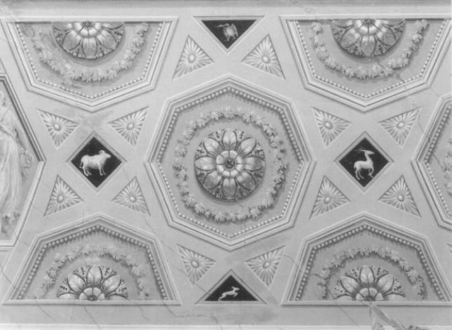 motivi decorativi vegetali e animali (dipinto) di Rossi, Davide (attribuito), Borsato, Giuseppe (attribuito) - ambito veneto (fine/ inizio XVIII-XIX)