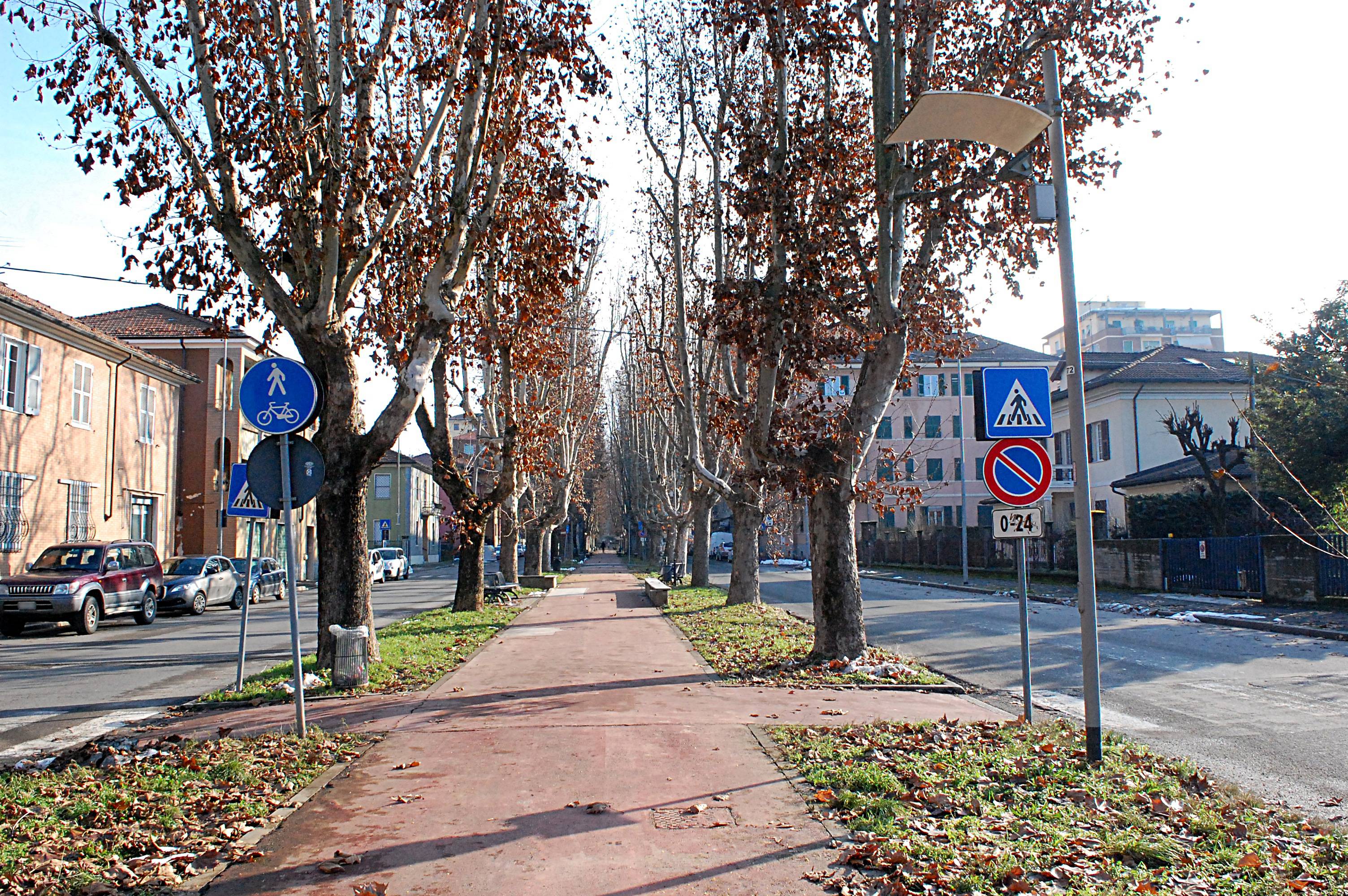 viale, commemorativo/ai caduti della prima guerra mondiale, Viale della Rimembranza di Novi Ligure (XX, XX, XX, XX, XXI)