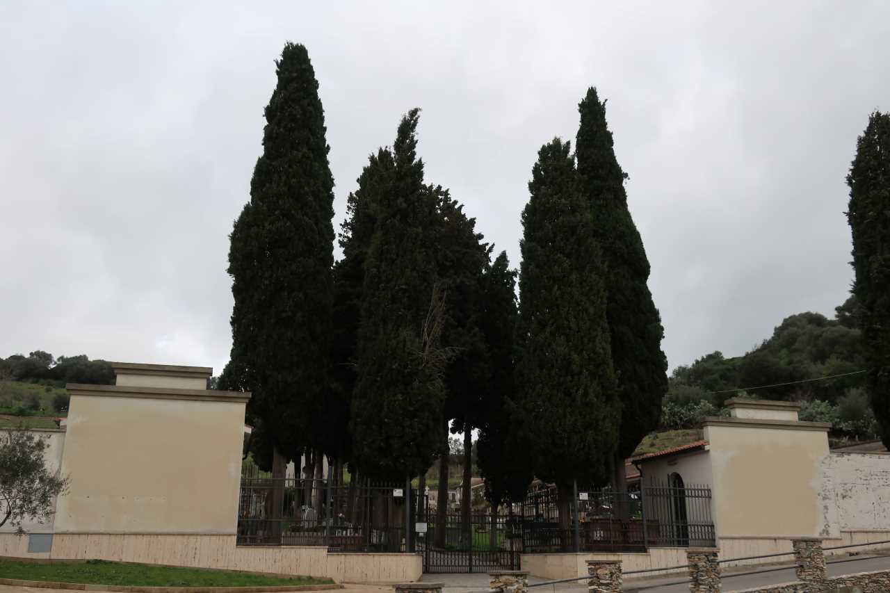 viale, commemorativo/ ai caduti della prima e seconda guerra mondiale, Viale della rimembranza di San Nicolò Gerrei (XX, XX)