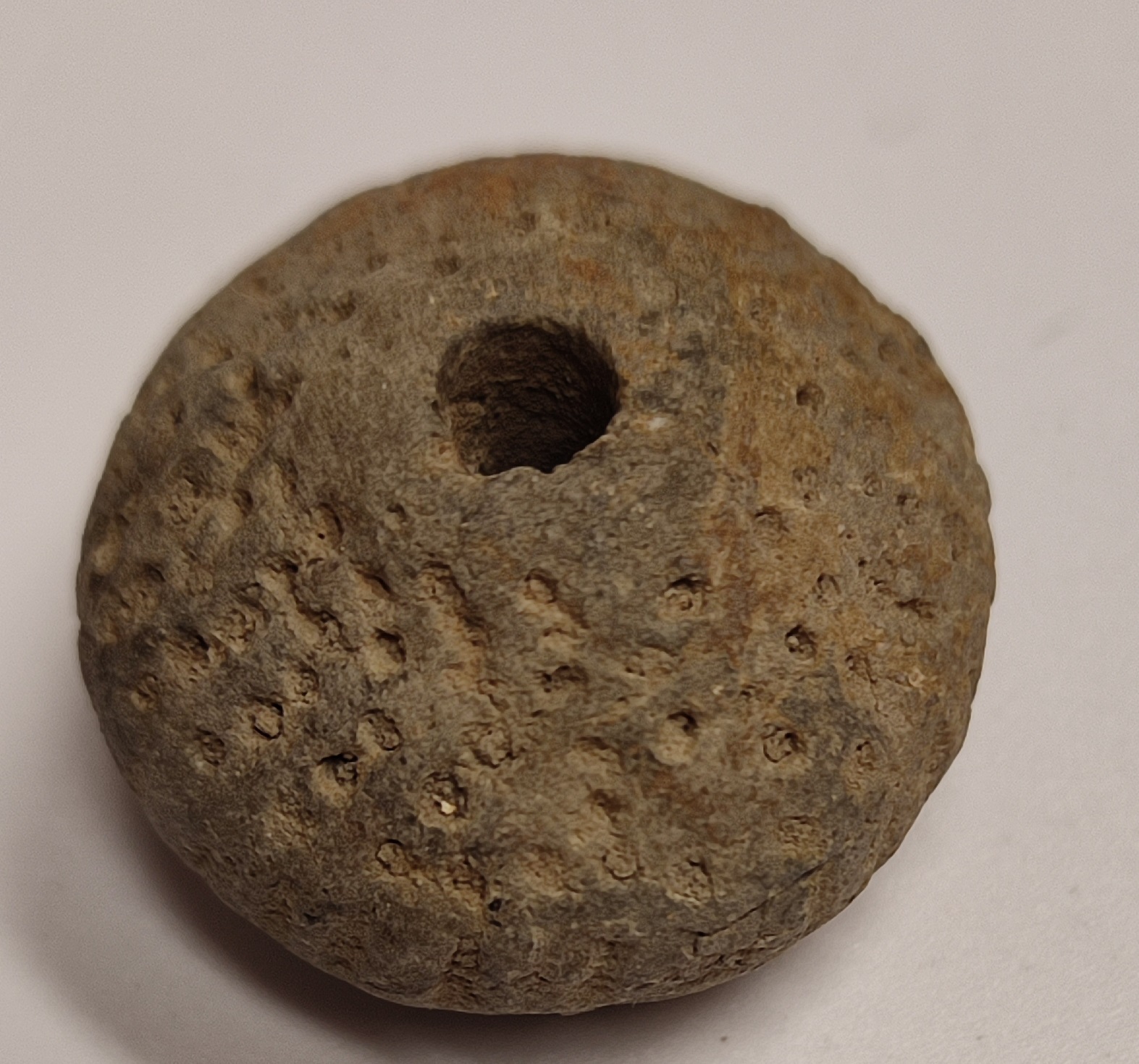 SINGOLO OGGETTO/ vaso, SECOLI/ ARCHI DI SECOLI/ VIII-VII a.C