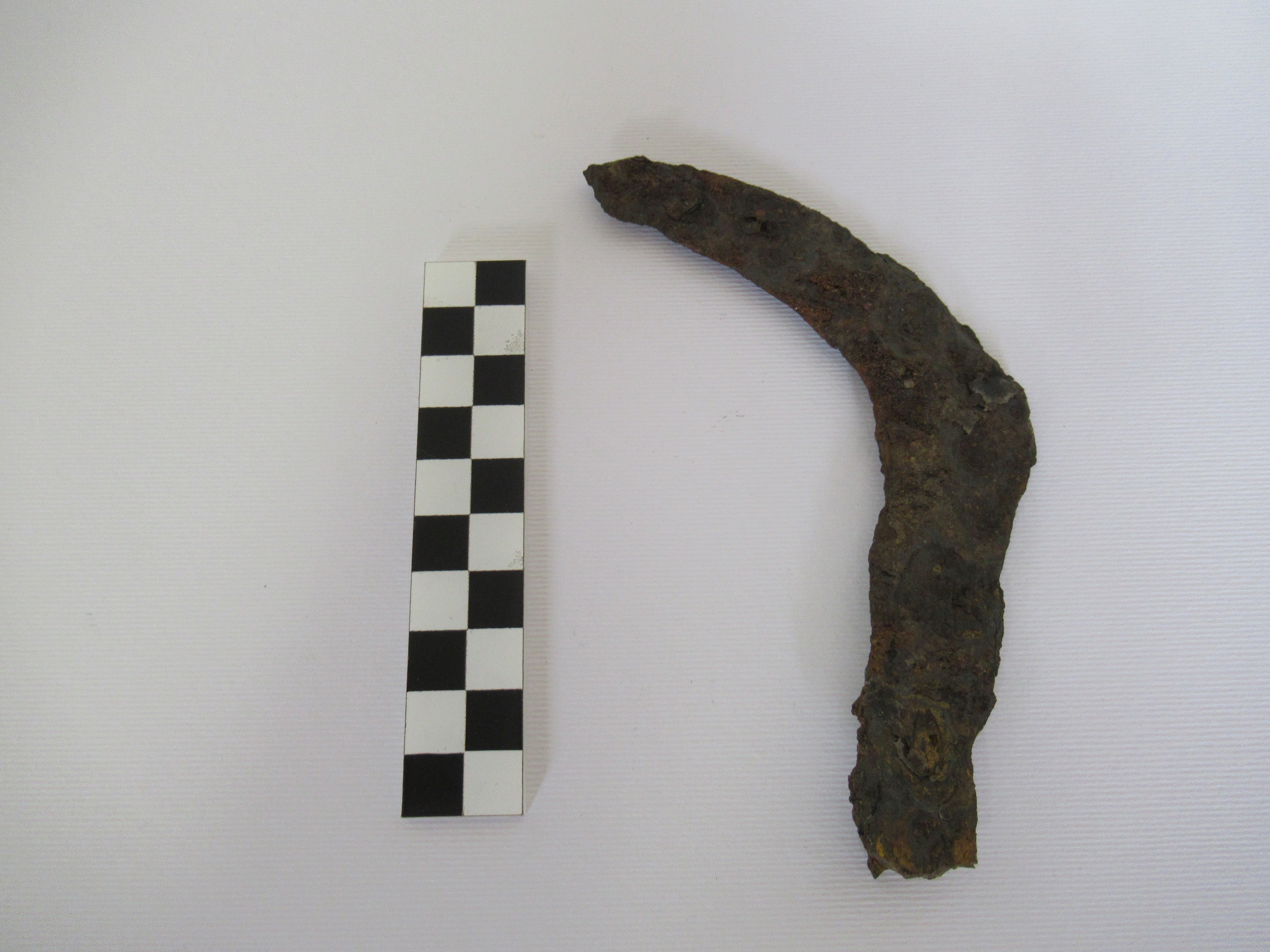 SINGOLO OGGETTO/ falcetto, SECOLI/ I