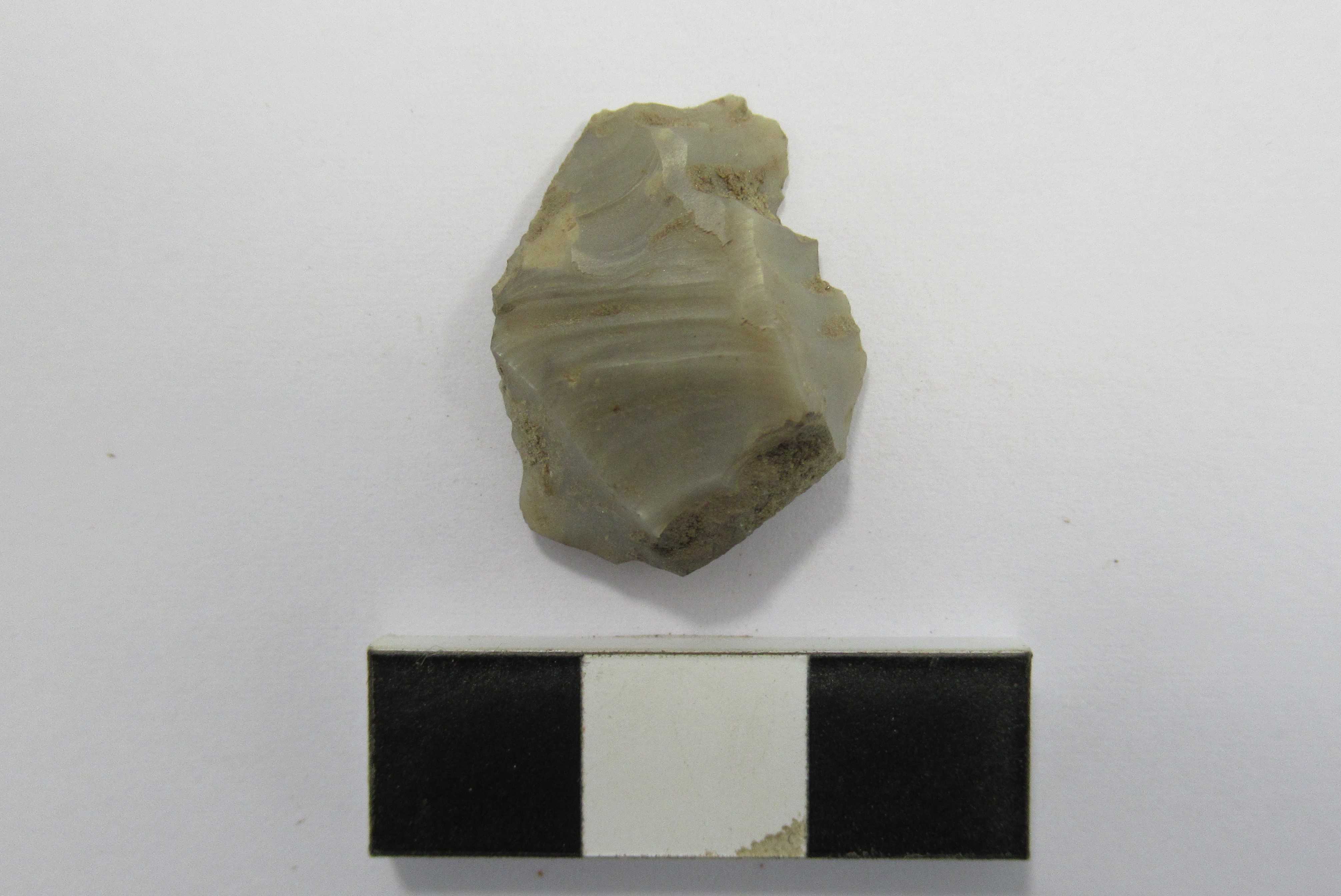 SINGOLO OGGETTO/ grattatoio, PERIODIZZAZIONI/ Preistoria/ Neolitico