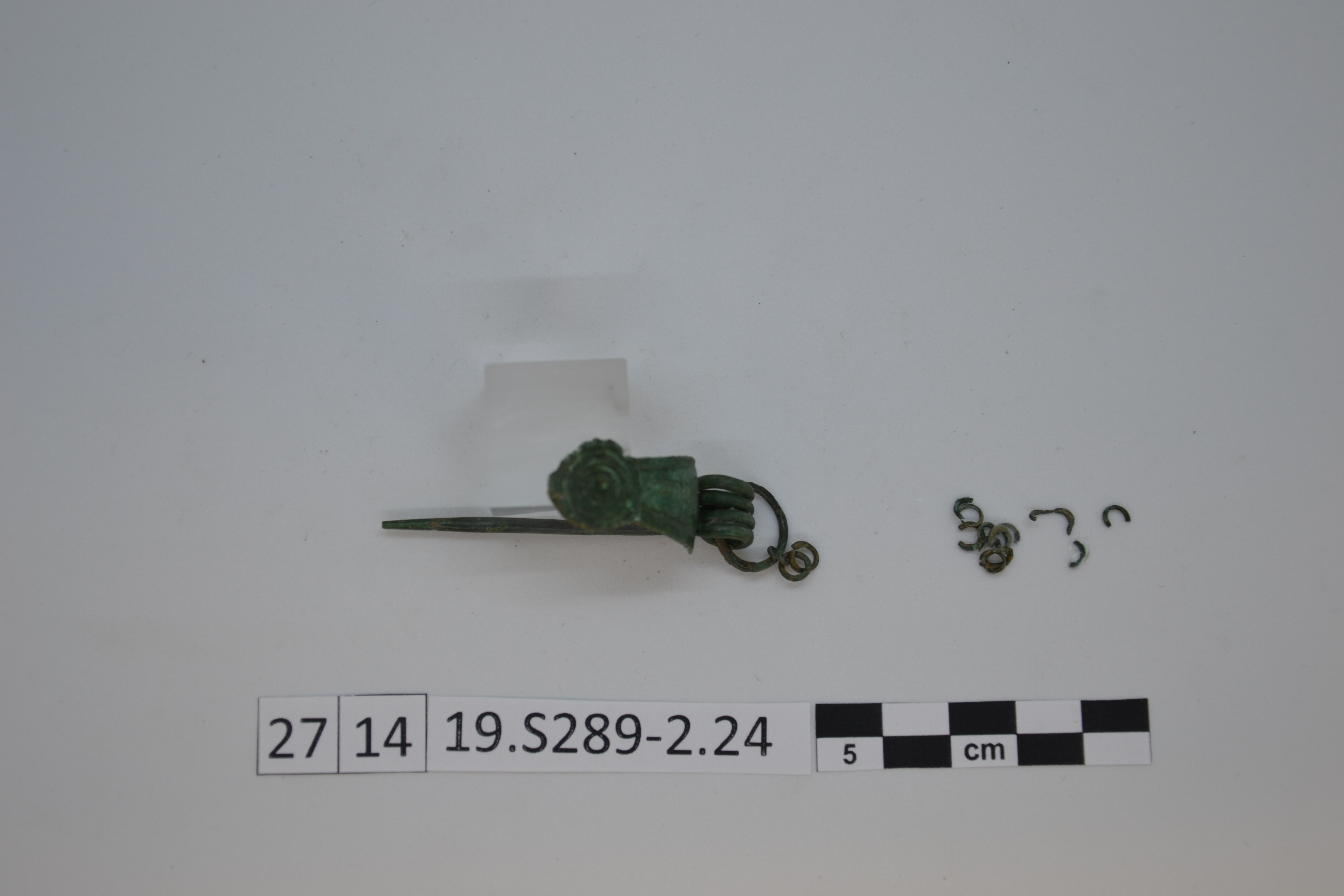 SINGOLO OGGETTO/ fibula, 