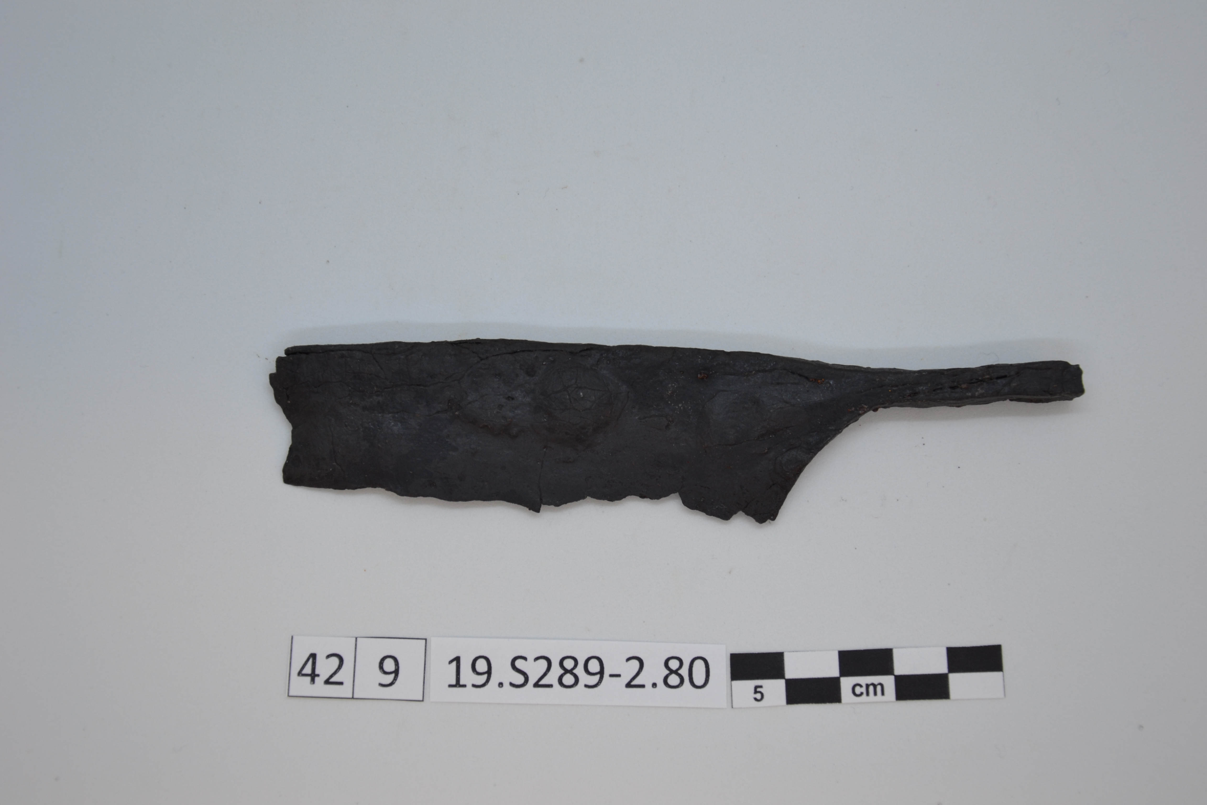 SINGOLO OGGETTO/ cesoia, 