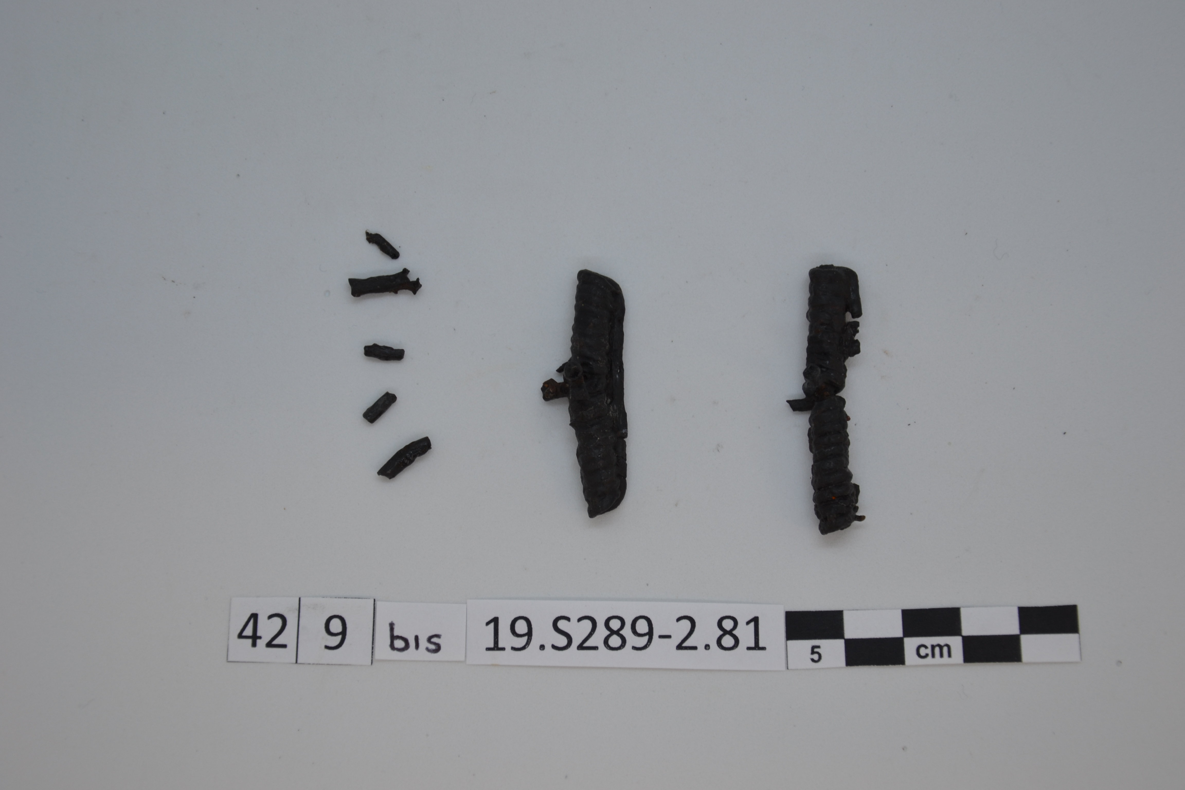 SINGOLO OGGETTO/ fibula, 