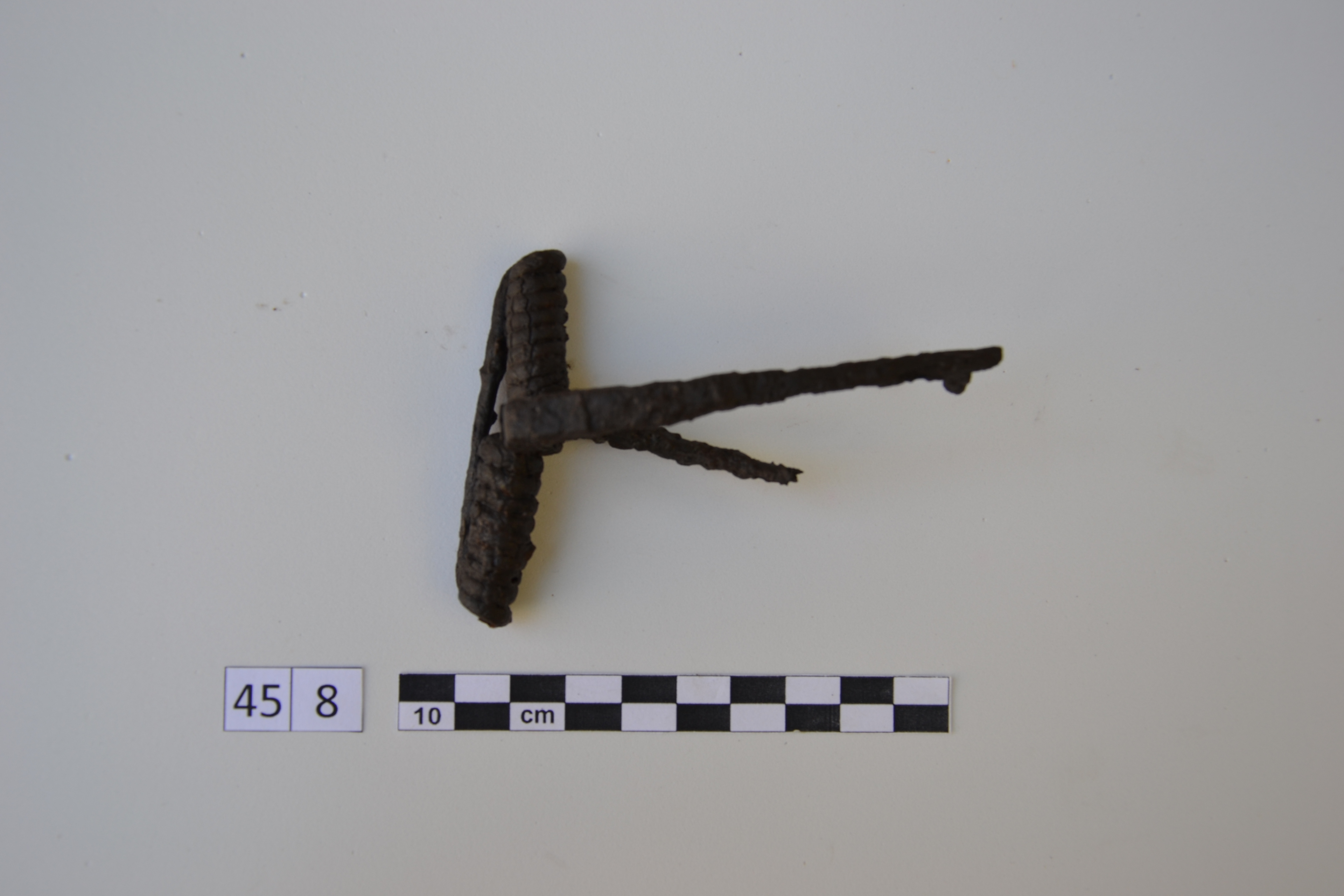 SINGOLO OGGETTO/ fibula, 