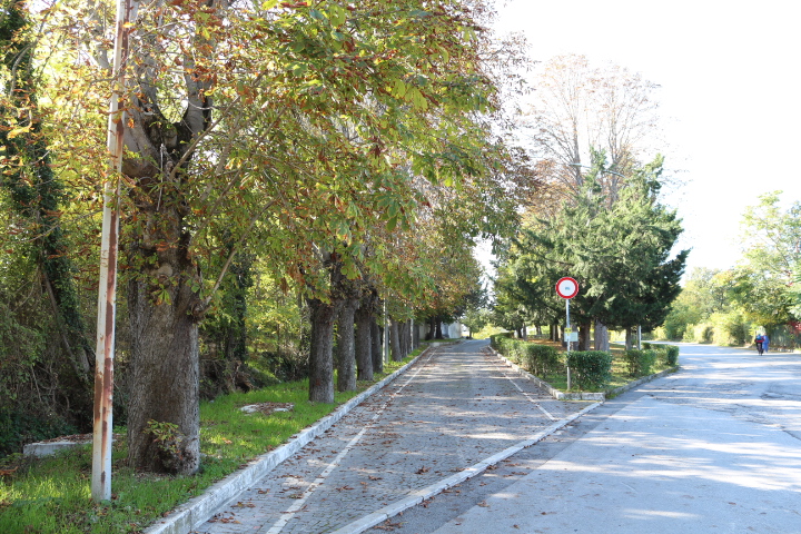 viale, commemorativo/ ai caduti della prima guerra mondiale, Viale delle Rimembranze di Pratola Peligna (XX, XX-XXI)
