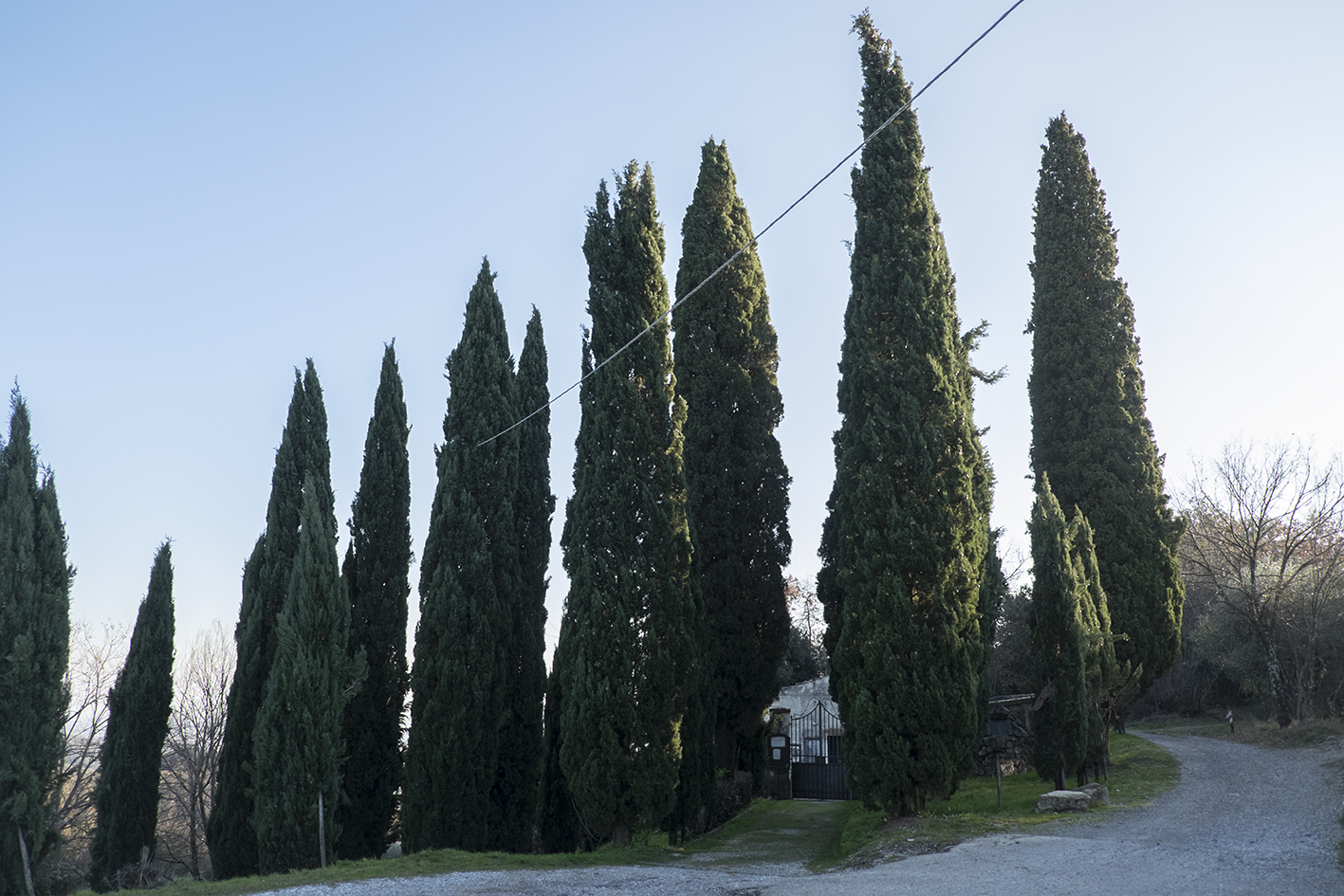parco, commemorativo/ ai caduti della prima e seconda guerra mondiale, Parco della Rimembranza di Germinaia (XX)