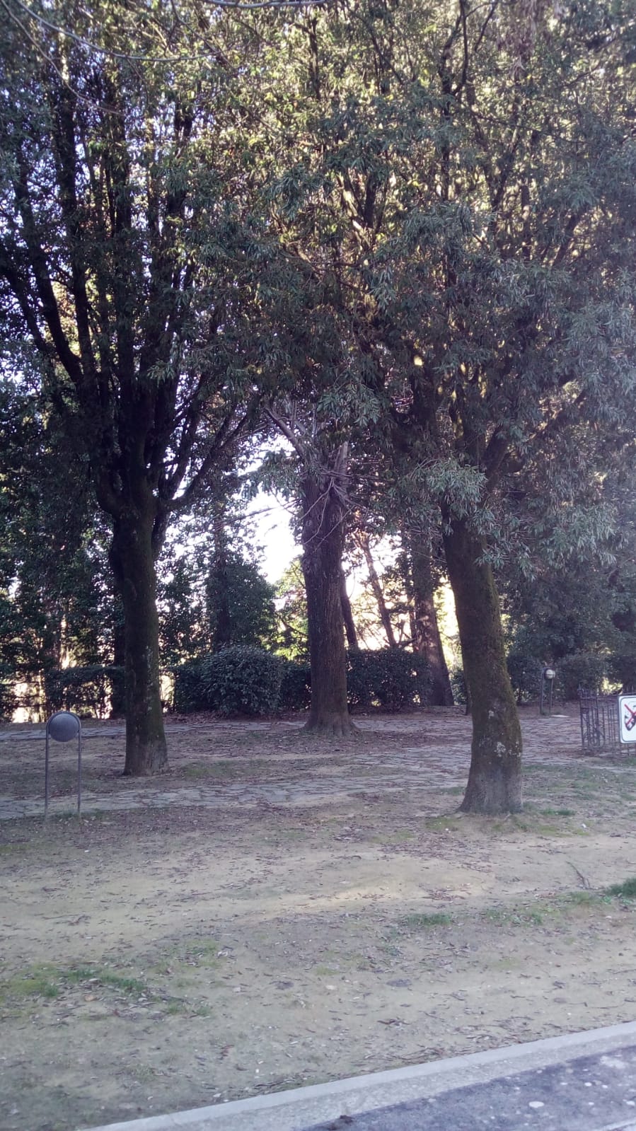 parco, commemorativo/ ai caduti della prima guerra mondiale, Giardini pubblici, Parco della Rimembranza di Castelnuovo Berardenga (ex) (XX)