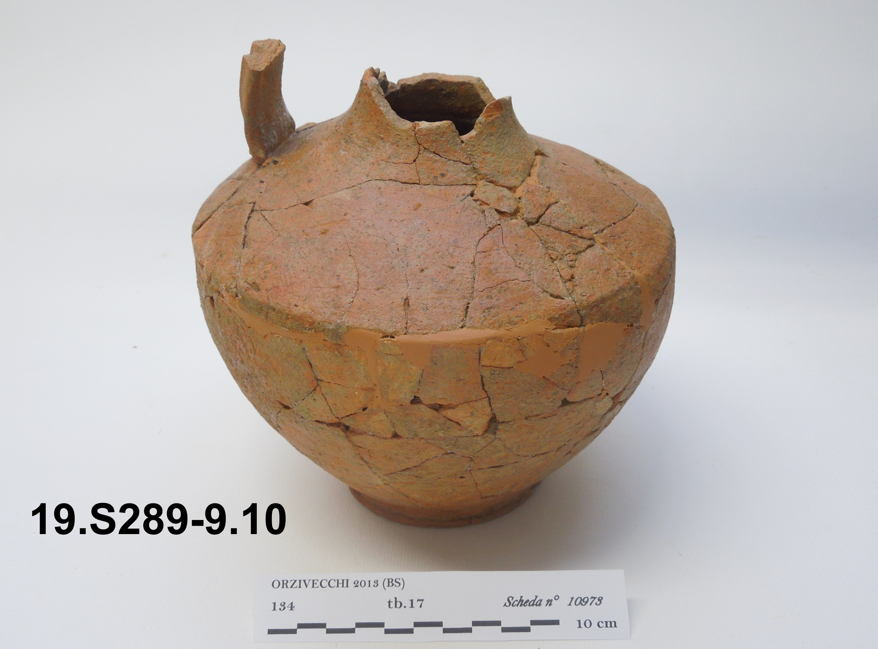 SINGOLO OGGETTO/ brocca, 