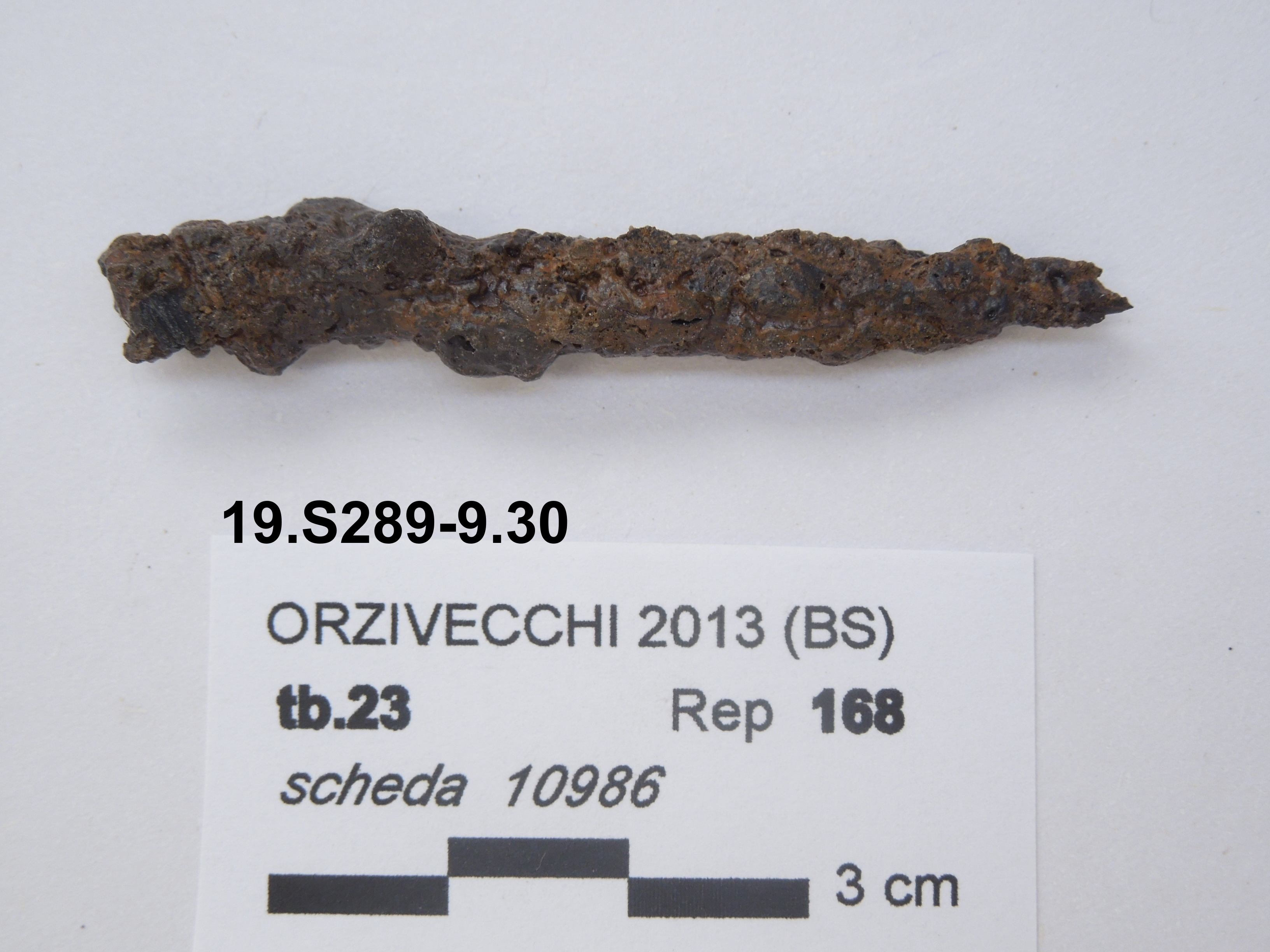 SINGOLO OGGETTO/ chiodo, 