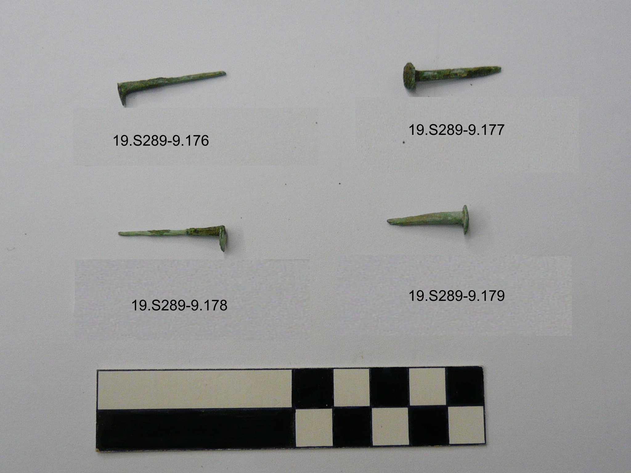 SINGOLO OGGETTO/ chiodo, 