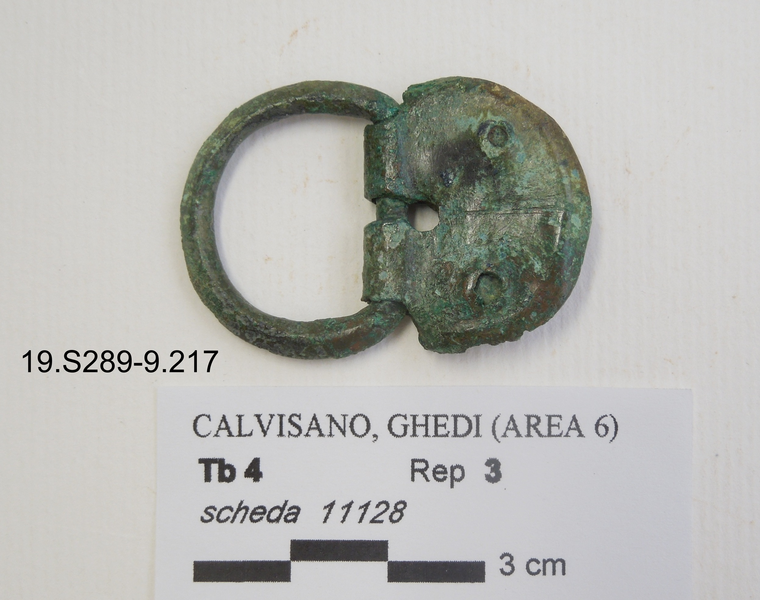 SINGOLO OGGETTO/ fibbia, 