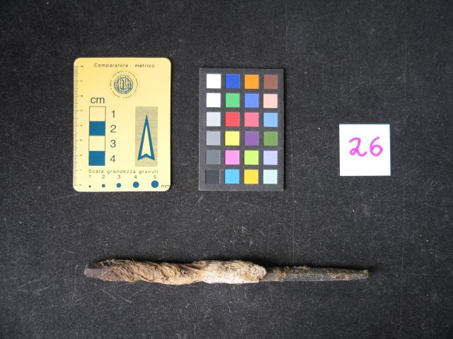 punteruolo (età romana-età moderna)