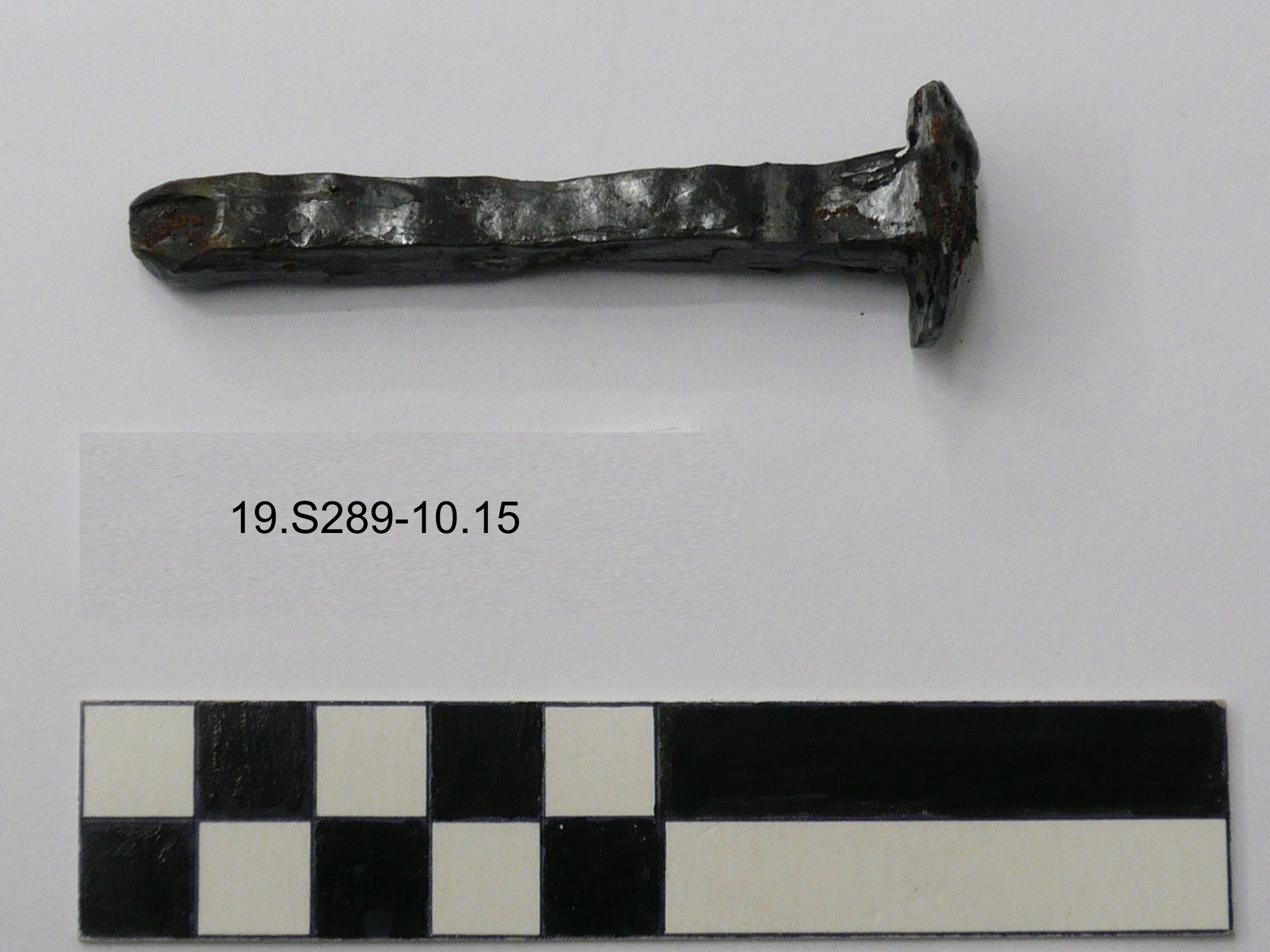 SINGOLO OGGETTO/ chiodo, 