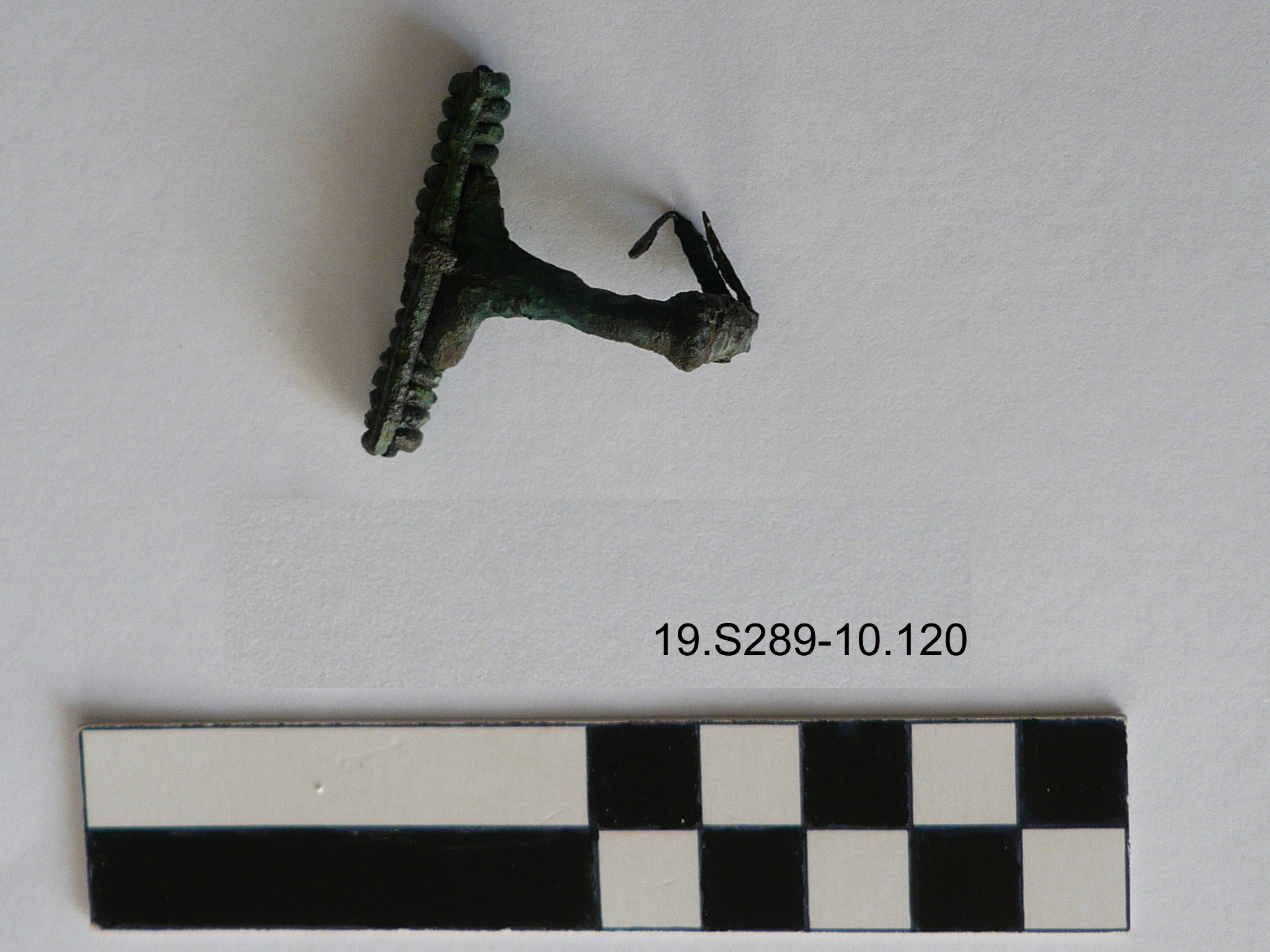 SINGOLO OGGETTO/ fibula, 