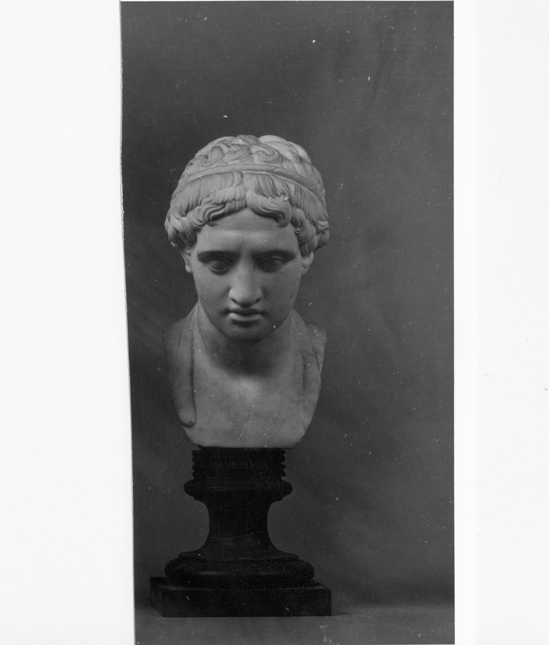 Busto di Heracles (busto) di Filippo Tagliolini - manifattura Reale Fabbrica di Napoli (XVIII)