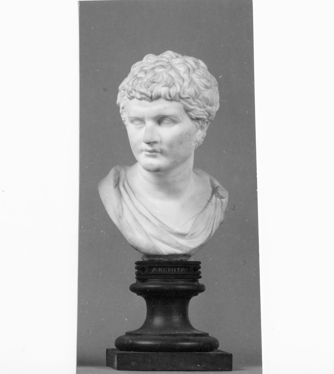 busto maschile (busto) di Filippo Tagliolini - manifattura Reale Fabbrica di Napoli (XVIII)