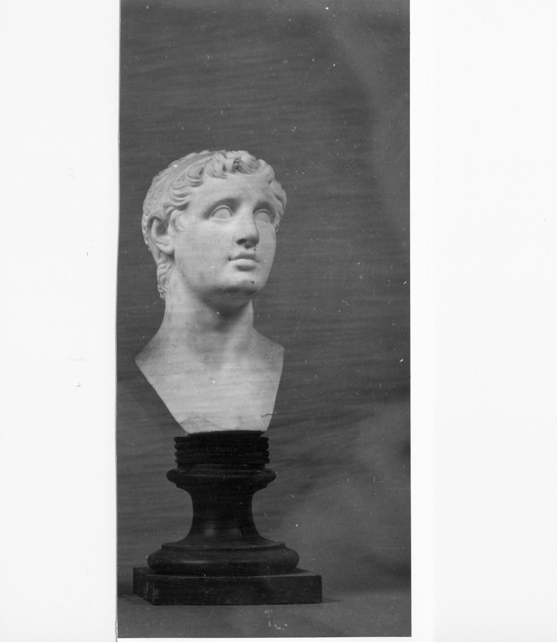 Busto di Tolomeo Sotere II (busto) di Filippo Tagliolini - manifattura Reale Fabbrica di Napoli (XVIII)