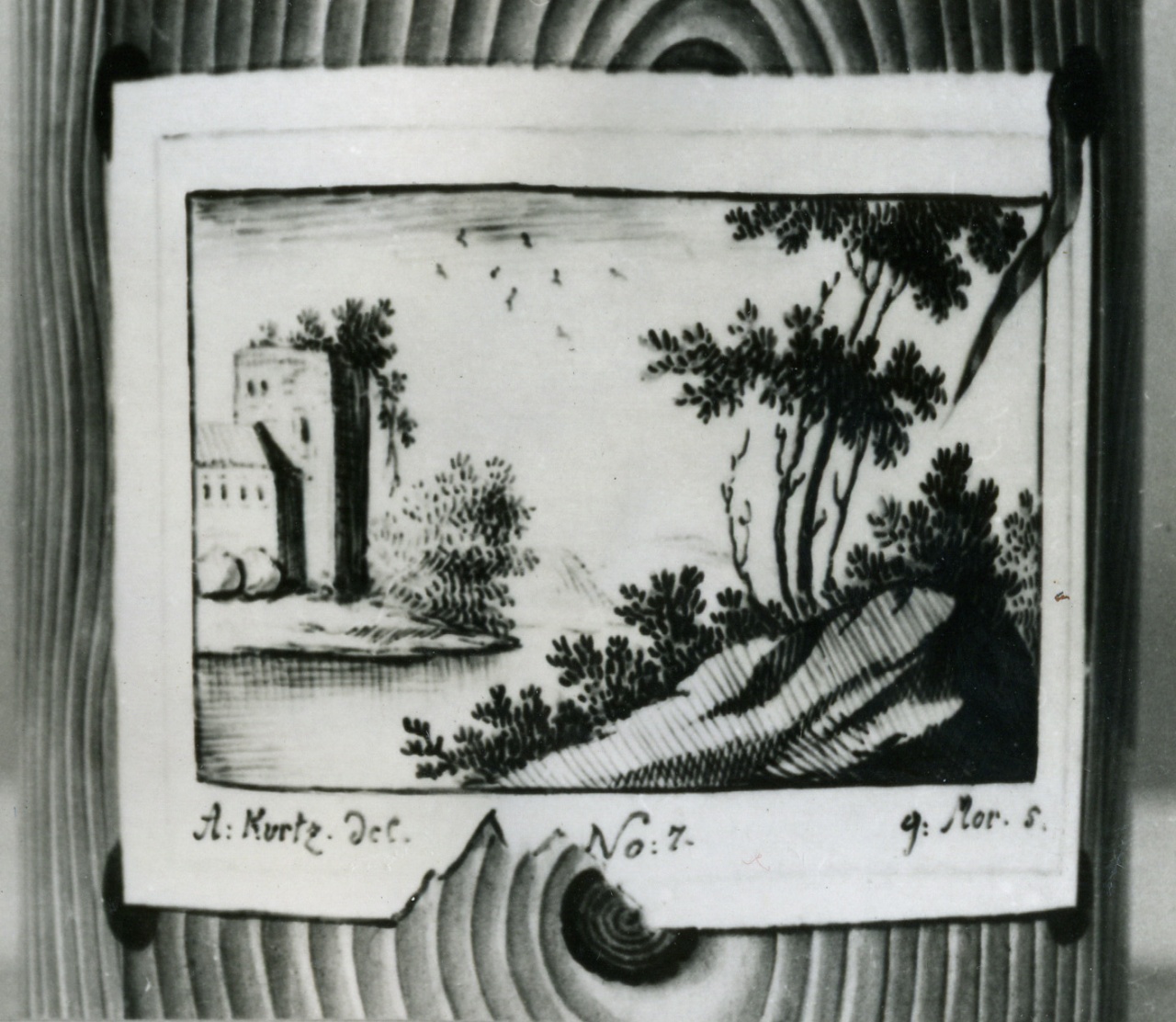 tazza, serie - manifattura viennese, manifattura di Doccia (prima metà XVIII, XIX, XIX)