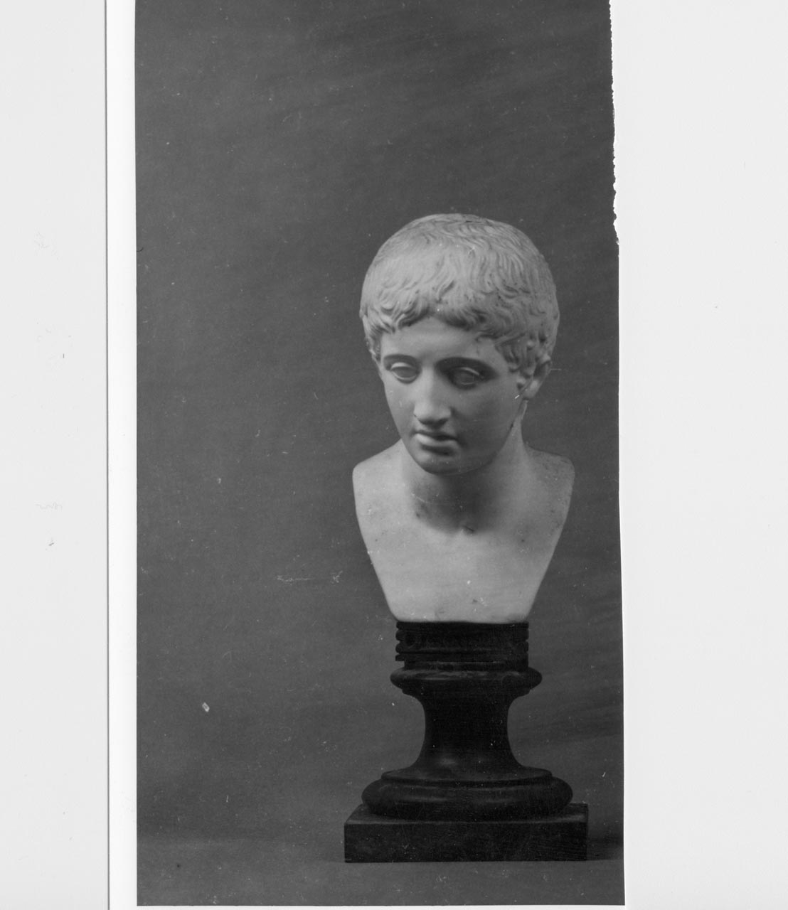Busto di Doriforo (busto) di Filippo Tagliolini - manifattura Reale Fabbrica di Napoli (XVIII)