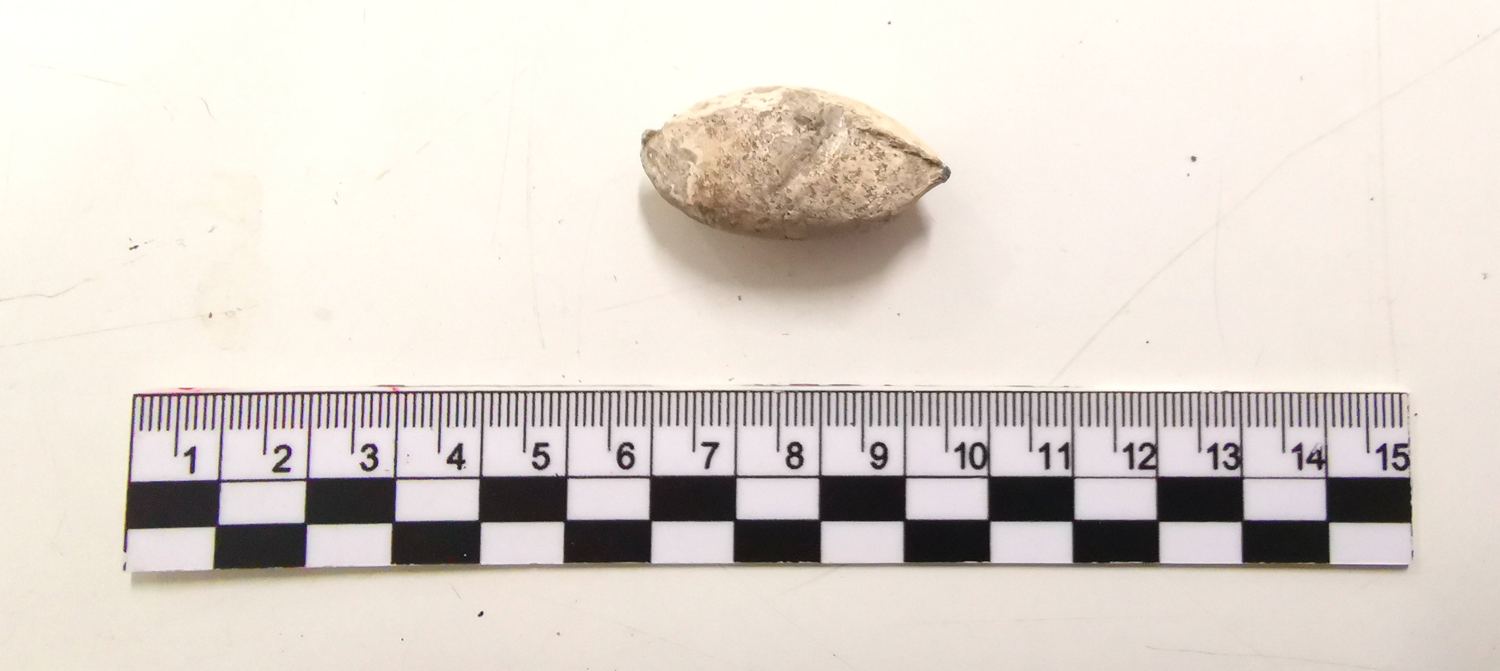 SINGOLO OGGETTO/ proiettile, SECOLI/ III a.C