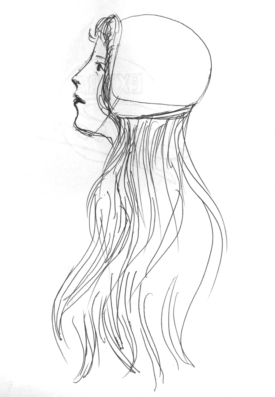 studio per un'acconciatura femminile (disegno) di Fo, Dario (XX)