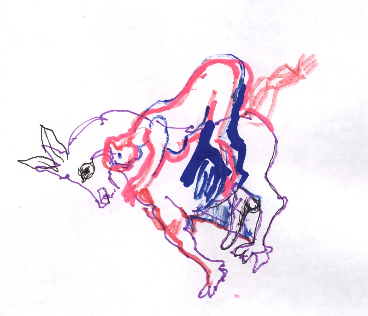 donna in groppa a un asino (disegno) di Fo, Dario (XX)