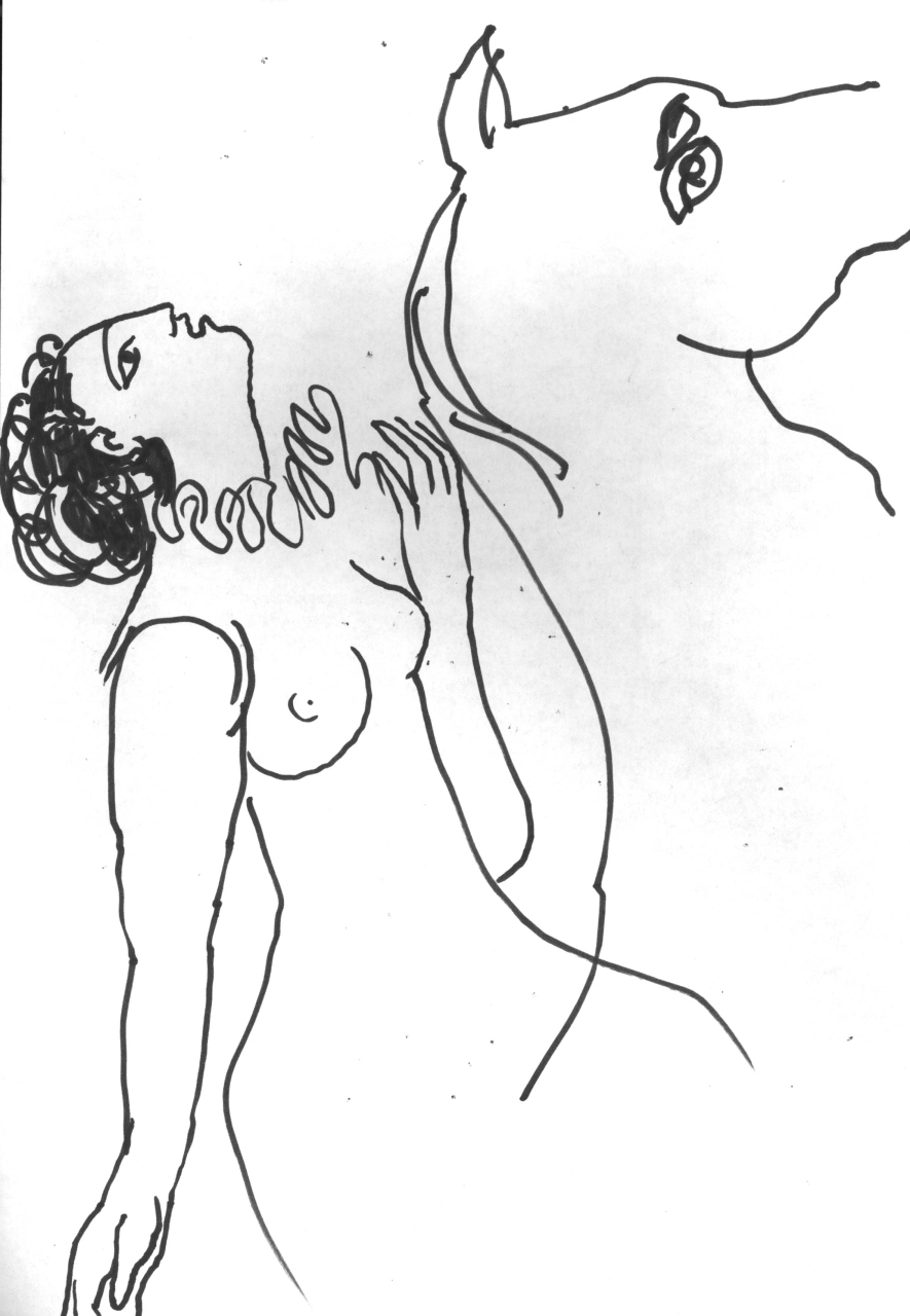 raffigurazione in primo piano della regina Elisabetta I d'Inghilterra a cavallo (disegno) di Fo, Dario (XX)