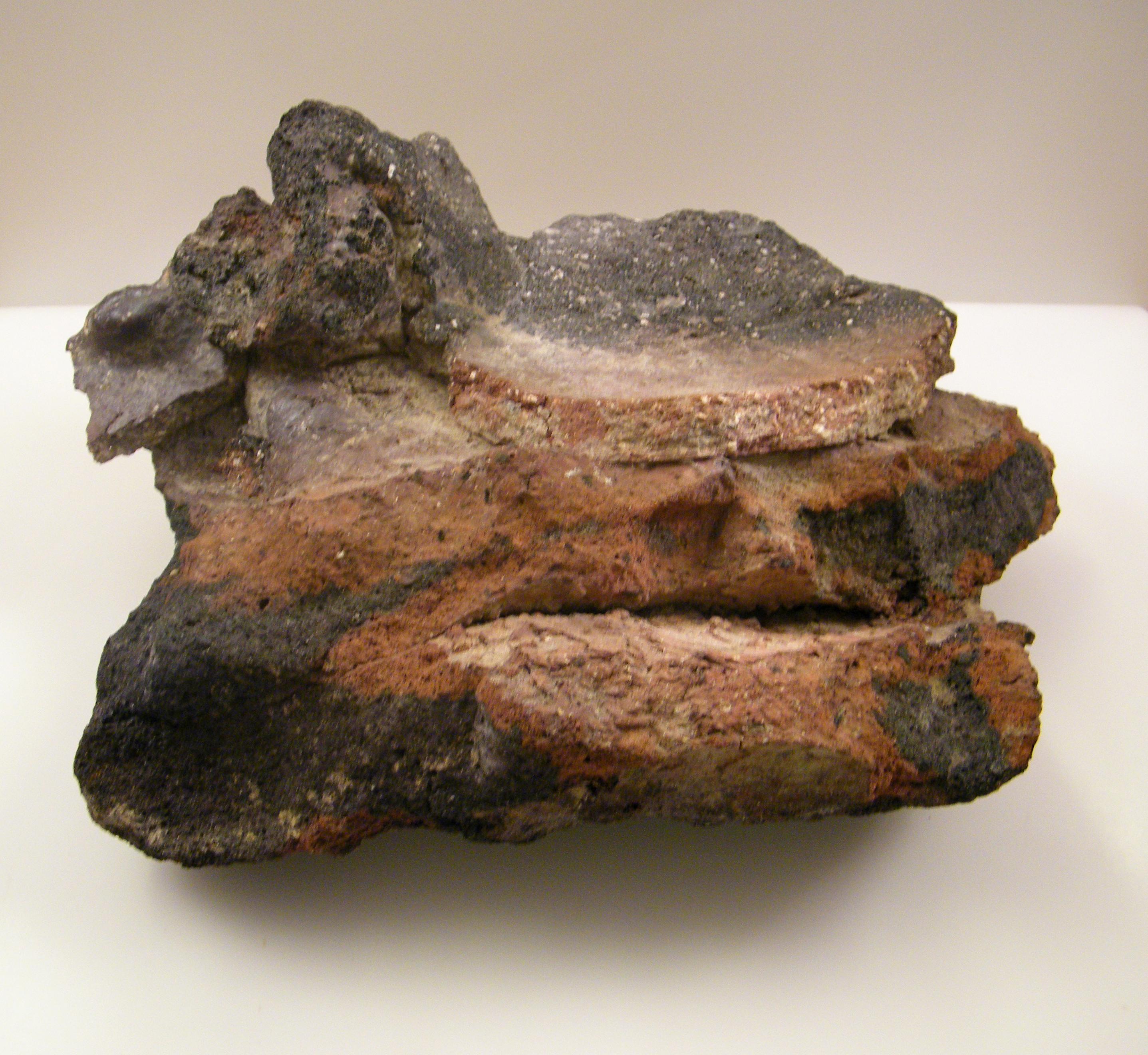 SINGOLO OGGETTO/ doglio, SECOLI/ fine VI-seconda metà IV a.C