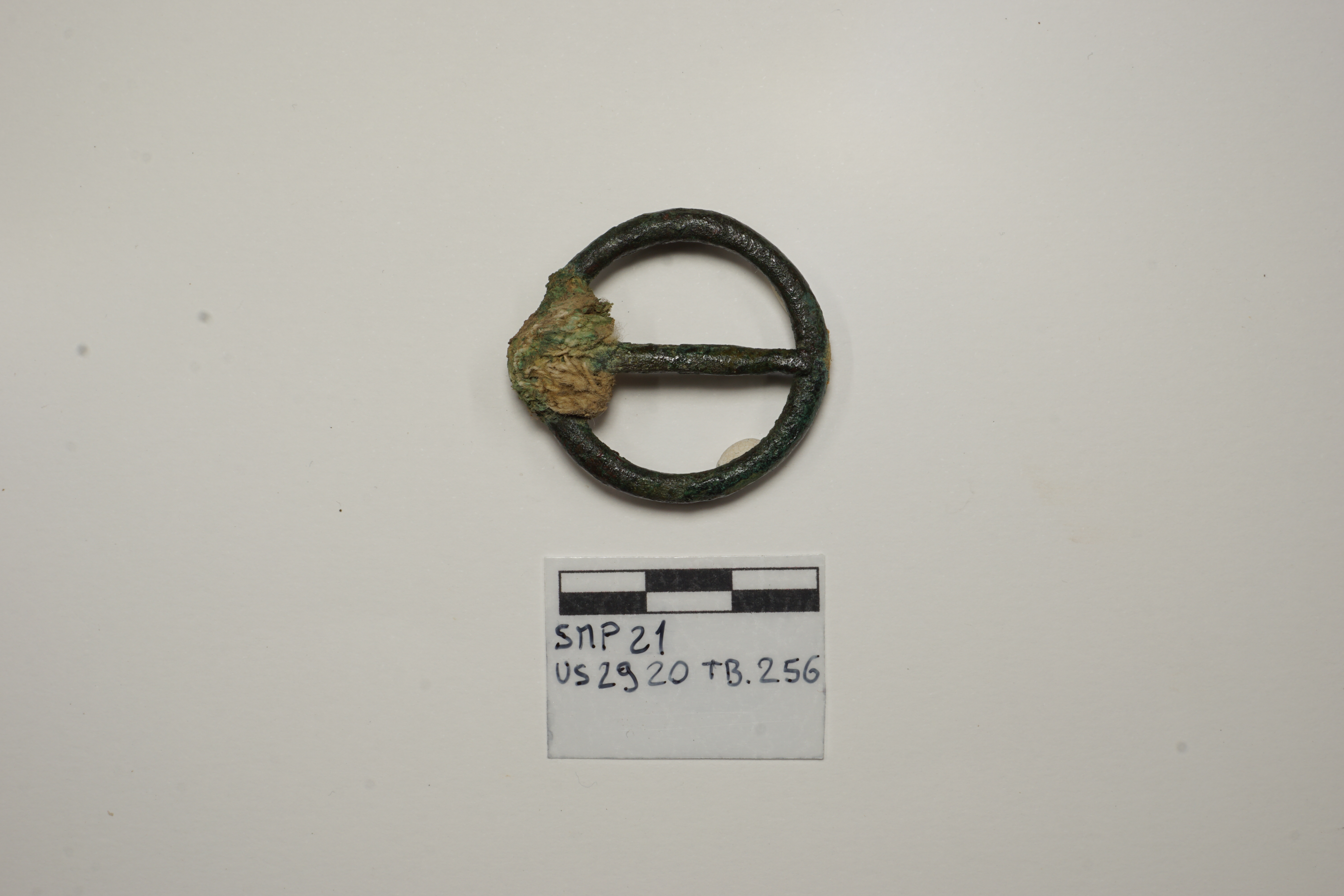 SINGOLO OGGETTO/ fibbia, XIII-XIV secolo d.C