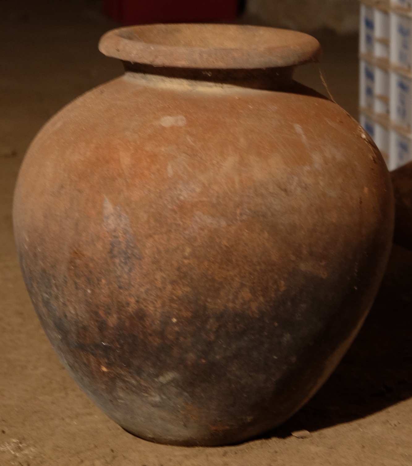 SINGOLO OGGETTO/ olla, SECOLI/ VII a.C