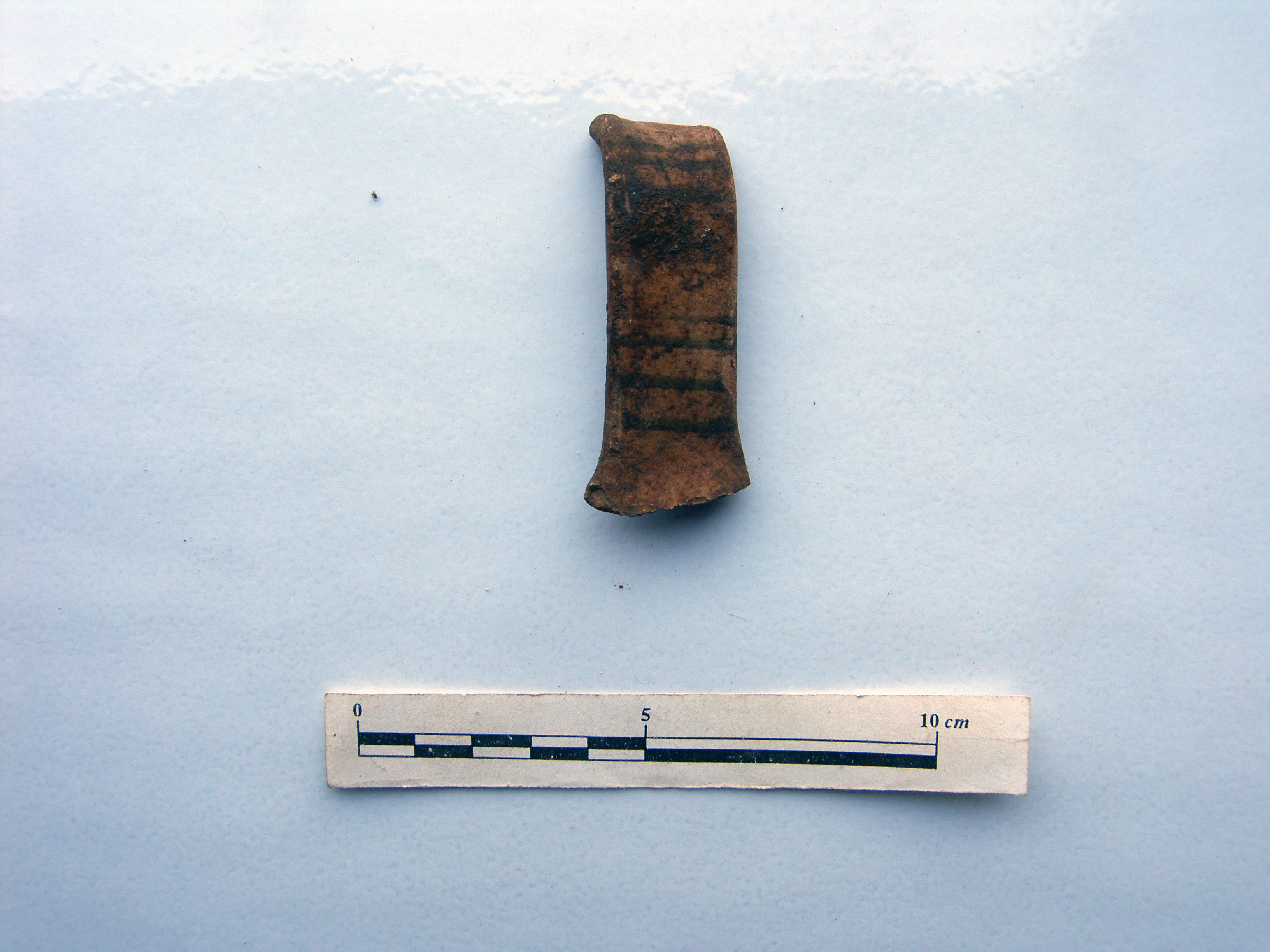 SINGOLO OGGETTO/ boccale, SECOLI/ XIII