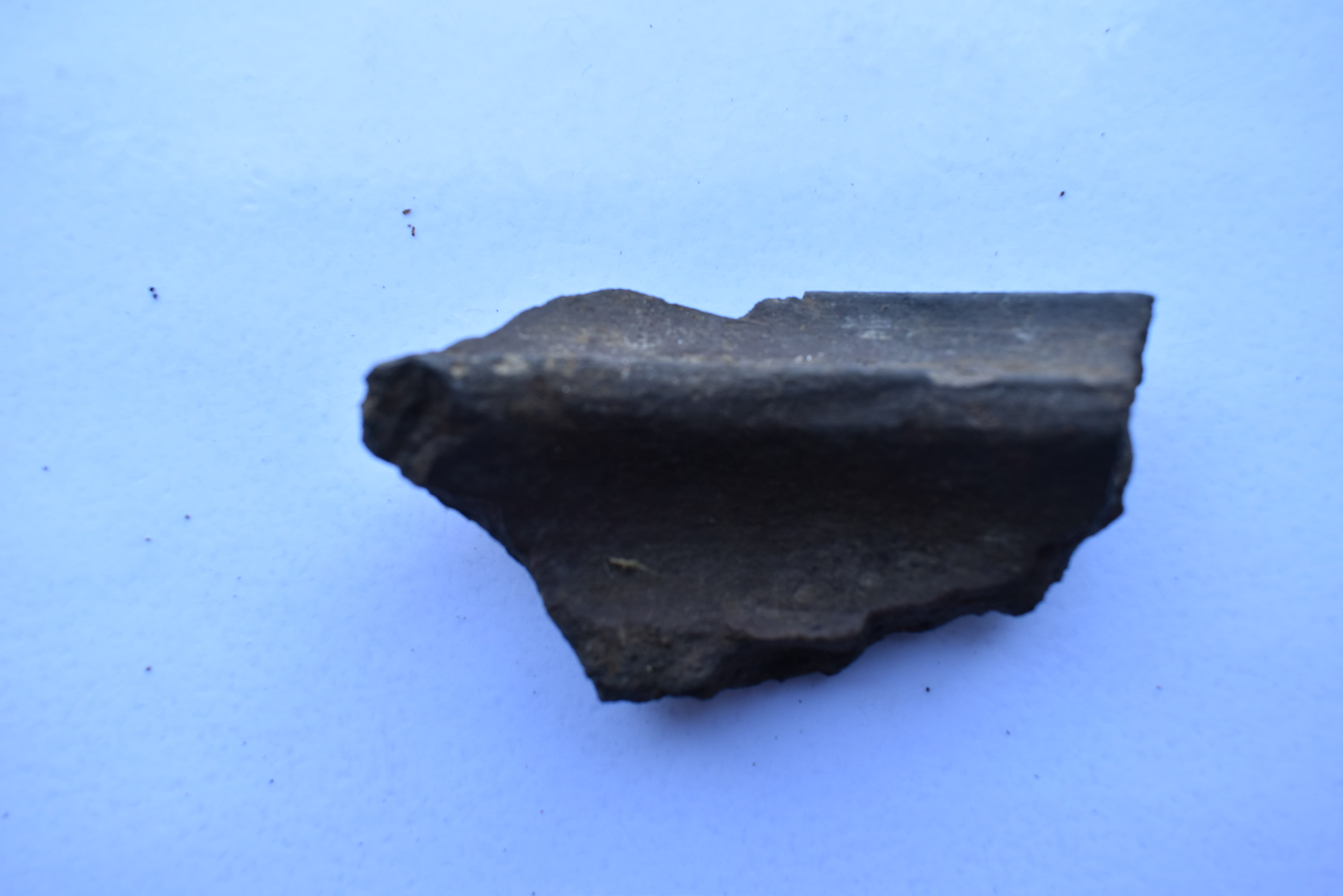 SINGOLO OGGETTO/ coppa, SECOLI/ VI a.C